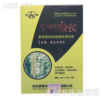 豆角、菜豆專用高效高效濃縮營(yíng)養(yǎng)調(diào)控劑-全能快長(zhǎng)-為峰肥業(yè)