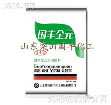國(guó)豐全元水溶肥-梁山國(guó)豐