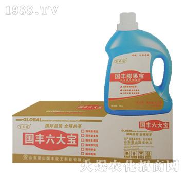 國(guó)豐膨果寶（桶）-梁山國(guó)豐