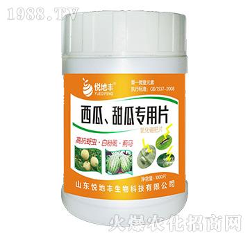 西瓜、甜瓜專用片（一棵一片）-悅地豐