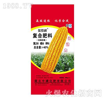 �ͺϷ���28-6-6-