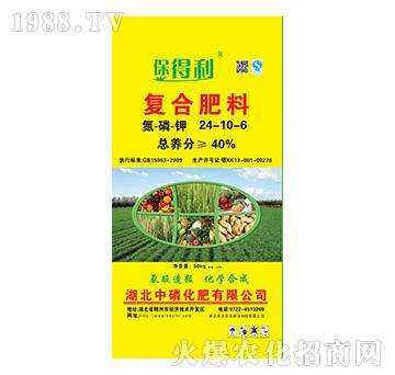 �ͺϷ���24-10-6-������-���׻���