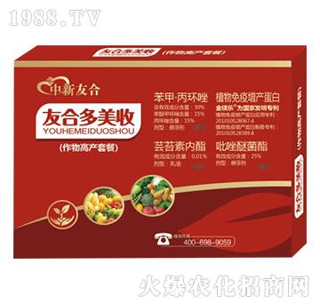 ����߮a�ײ�-�Ѻ϶�����-�����Ѻ�