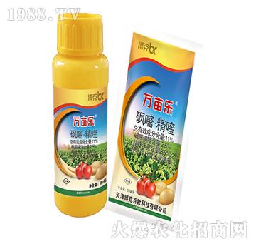 11%���ס����-�f����-���˰ل�