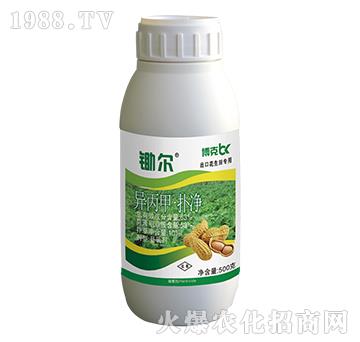 63%�����ס����-���˰ل�