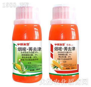 24%���ס�ݬȥ��-���w-�����Ѻ�