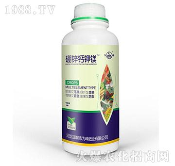 硼鋅鈣鉀鎂-為峰肥業(yè)