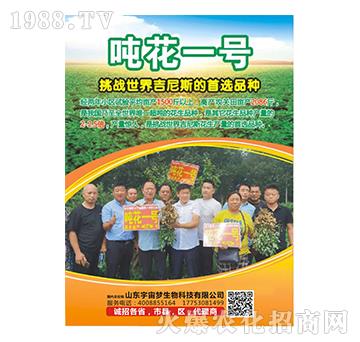 ����һ̖-���������