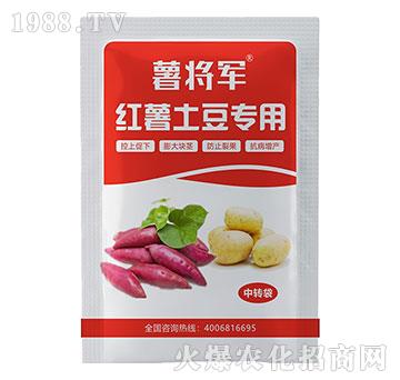 紅薯甘薯土豆控旺膨大素-綠仕生物