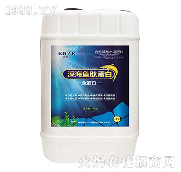 ��~(y��)�ĵ���-�˰ſ�