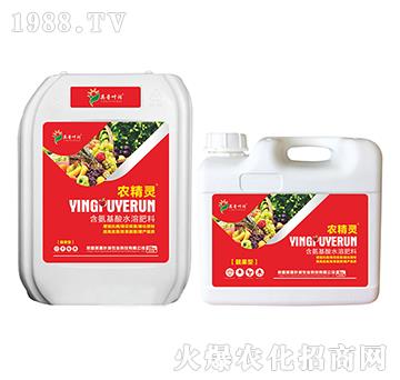 靚果型含腐植酸水溶肥料-農精靈-英普葉潤