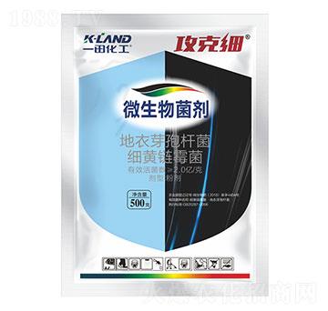 ΢�������-���˼�-һ������