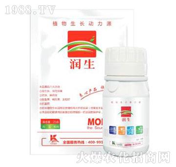 ֲ�����L��(d��ng)��Դ-����-����ֲ��