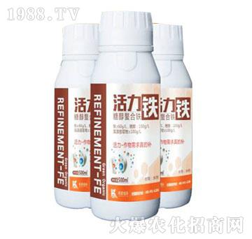 �Ǵ������F-�����F-����ֲ��