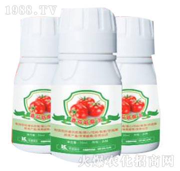 ���ѽ��-����ֲ��