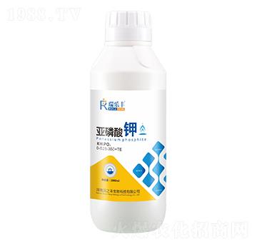 �������0-525-350+TE-��(l��)�S-��Gֲ��