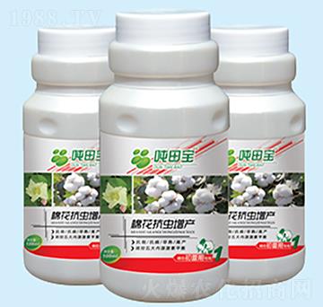 �޻������ڌ�����-���-�����S��