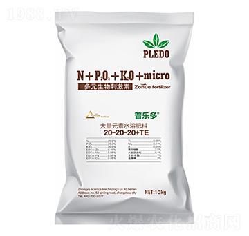 大量元素水溶肥料20-20-20+TE-普樂多-中?？萍? />
                                </div>
                            </div>
                            
                            <style type=