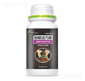 ��ˎ�Č�(zhu��n)�����������-��ԣ�Ƽ�