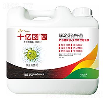 ���ѿ�ߗU��-ʮ�|�F(tu��n)��-�����Ƽ�