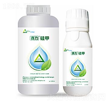 ِ�����-�����Ƽ�