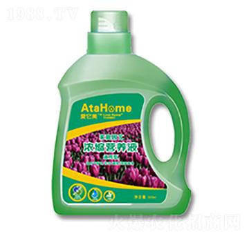 家庭園藝營養(yǎng)液-美能多