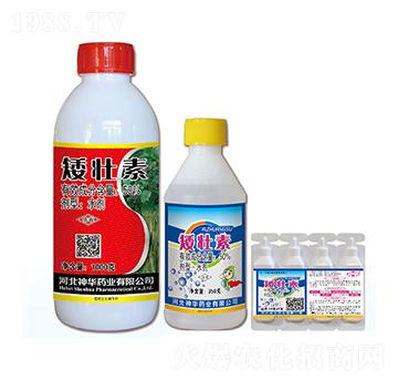 50%������-���A