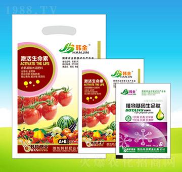 ֲ�����������-�n��ʘI(y��)