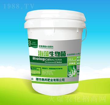 ���������-�n��ʘI(y��)