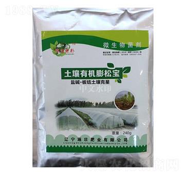 �����ЙC���Ɍ�-ʩ�ѷʘI(y��)