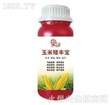 ���װ��S��-嫪{�r(n��ng)�I(y��)