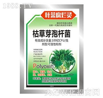 枯草芽孢桿菌-葉菜腐爛靈-寶豐農(nóng)藥