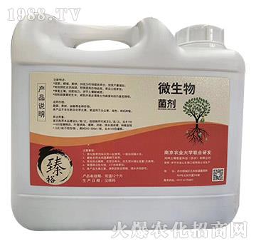 微生物菌劑-鴻坤土壤