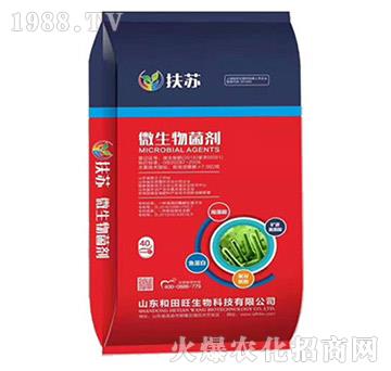 ΢�������-���K-����