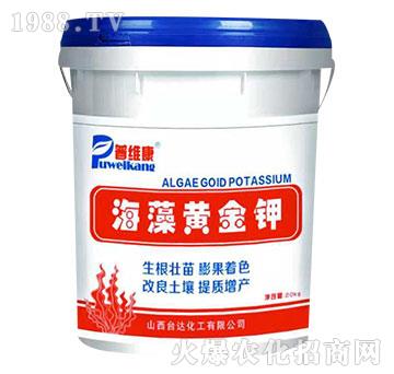 �����S���-�վS��-�_(t��i)�_(d��)