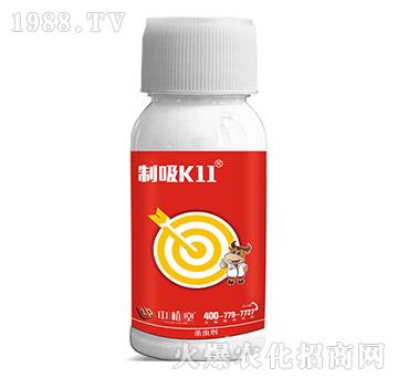 5%��x��-����K11-��ֲ��