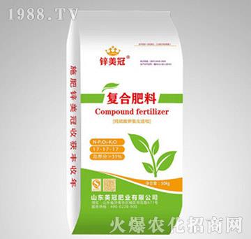 �ͺϷ���17-17-17-�\����