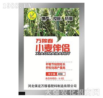 小麥伴侶-萬(wàn)稼春
