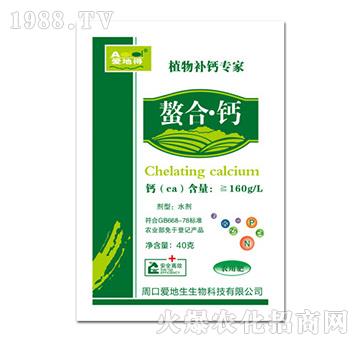 ���ϡ��}-�۵ص�-�۵�