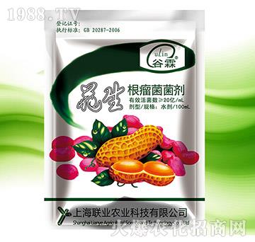 ��������������-(li��n)�I(y��)�r(n��ng)�I(y��)