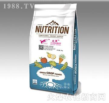 水溶性硫酸鉀-信飛農業(yè)