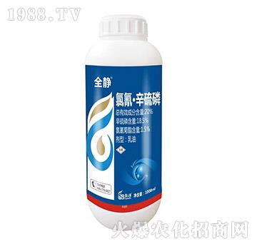 20%���衤������-ȫ�o-���˸�