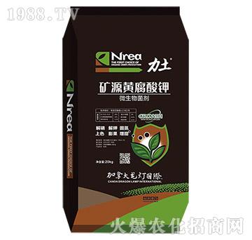 �VԴ�S�����-����-����