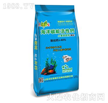 �����{�턩���w����-����̼�ܻ����}-�л���ʢ