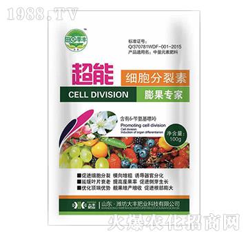 ���ܼ�(x��)��������-��@���S-���S�ʘI(y��)