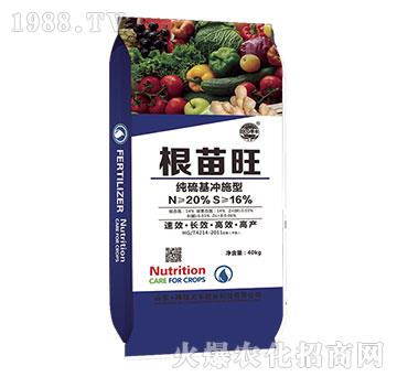 ������-��@���S-���S�ʘI(y��)