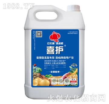 ϲ�o-������