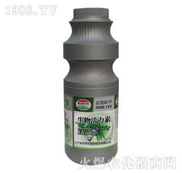 �²��۲ˌ������������-�μ�