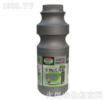 �S�ό������������-�μ�