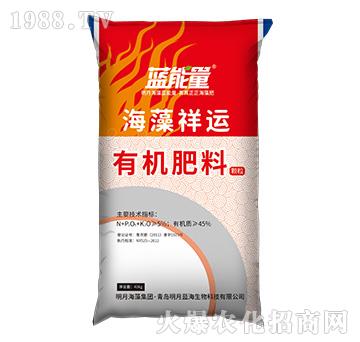 �ЙC����-�������\-�{����